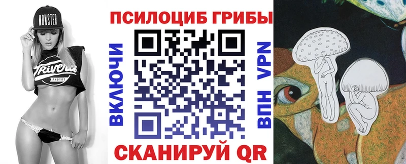 Купить закладки  Дмитровск  Псилоцибиновые грибы Psilocybine cubensis 